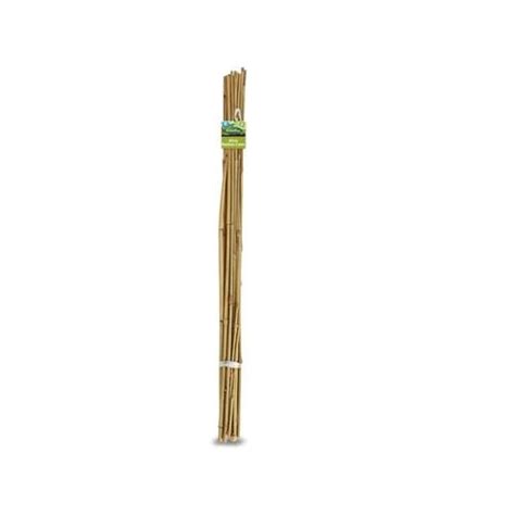 garden stakes bunnings|Brunnings 60cm Natural Bamboo Garden Stakes .